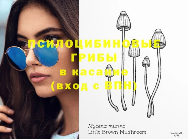 MESCALINE Бородино