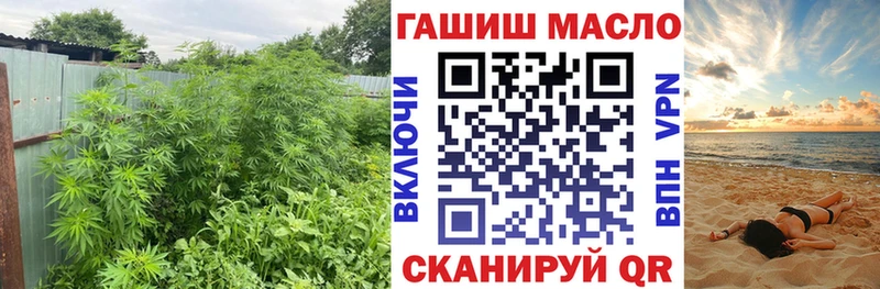 Дистиллят ТГК концентрат  kraken как зайти  Киренск  купить  цена 